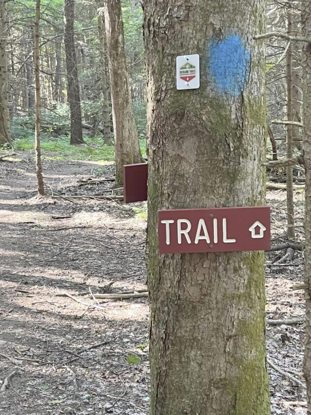 Local Groups Aim To Improve Trails In Chautauqua County News, Sports